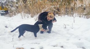 Bursa'da sokak hayvanlarına DOSABSİAD'dan dost eli