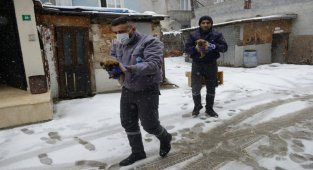 Bursa'da Yıldırım Belediyesi üç yavru köpeğe sıcak yuva oldu