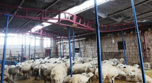 Kayseri Kocasinan'dan hayati müdahale