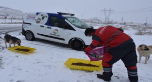 Kayseri Kocasinan hayvanları unutmadı