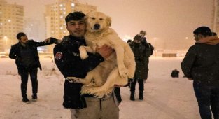 Kayseri Talas'ta kar keyfi