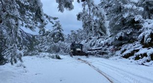 Muğla'da kar etkisini gösterdi