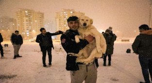 Talas'ın Erciyesi'nde keyifler yerinde