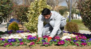 Balıkesir Edremit bahara erken girdi