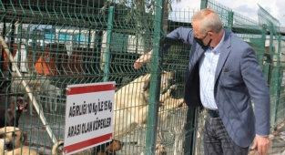 BAŞKAN ATABAY'IN CAN DOSTLAR İÇİN YENİ PROJESİ HAYATA GEÇİYOR