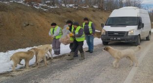 Bilecik’in Pazaryeri Belediyesi can dostlarını unutmadı