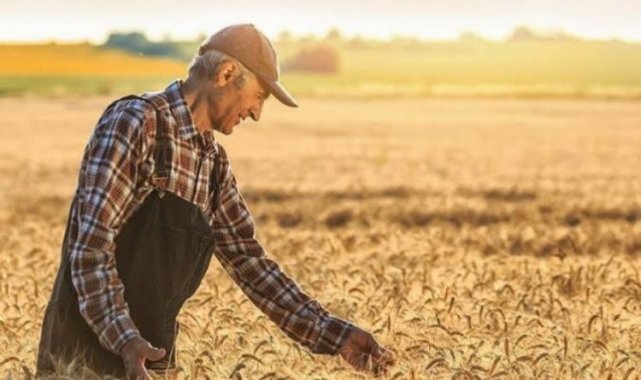 Bursa'da tarım sektörünün sorunları... Tarım yaşa takılıyor