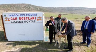 Bursa İnegöl'de can dostları için yeni beslenme noktaları
