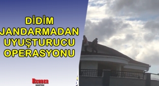 DİDİM JANDARMADAN UYUŞTURUCU OPERASYONU