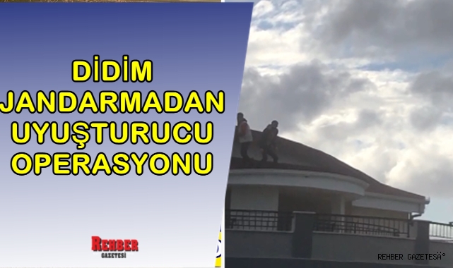 DİDİM JANDARMADAN UYUŞTURUCU OPERASYONU