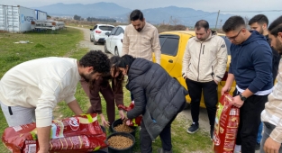 Efeler Ak Gençlik Sokak Hayvanlarını Unutmadı