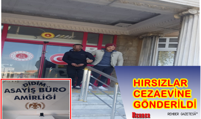 HIRSIZLAR CEZAEVİNE GÖNDERİLDİ
