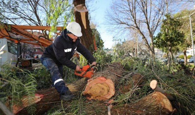 İzmir Gaziemir'de atık dallar evleri ısıtacak
