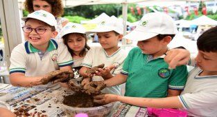 Kadıköy Çevre Festivali