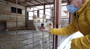 Kocaeli'nde Mahur Lady artık yeni yuvasında