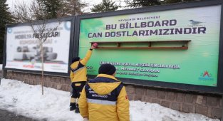 Nevşehir Belediyesi can dostları unutmadı