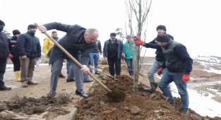 Rize Belediyesi binlerce ağacı toprakla buluşturuyor
