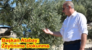BAŞKAN ATABAY: ZEYTİNİME DOKUNMA