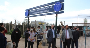 DİDİM'DE CAN DOSTLAR EMİN ELLERDE