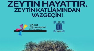 Didim Kent Konseyi Başkanı Ayyıldız: