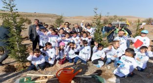 Kayseri'de üç yılda 300 bin fidan dikildi