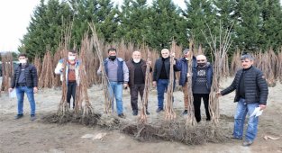Kocaeli Büyükşehir’in, yüzde 50 hibeli fidan dağıtımı cuma günü sona erecek