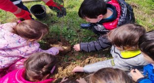Kocaeli İzmit Belediyesi minik öğrencileri doğayla buluşturdu