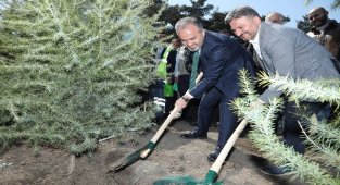 Kültür Başkenti Bursa'da fidanlar toprakla buluşuyor