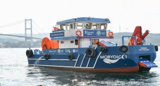 Marmara Denizi'nden üç ayda 10 ton atık toplandı