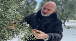 Zafer Işık :