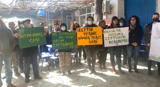 ZEYTİNİME DOKUNMA