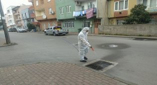 Bursa Osmangazi'den haşerelere karşı başarılı mücadele
