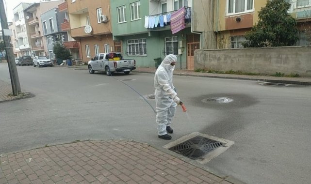 Bursa Osmangazi'den haşerelere karşı başarılı mücadele