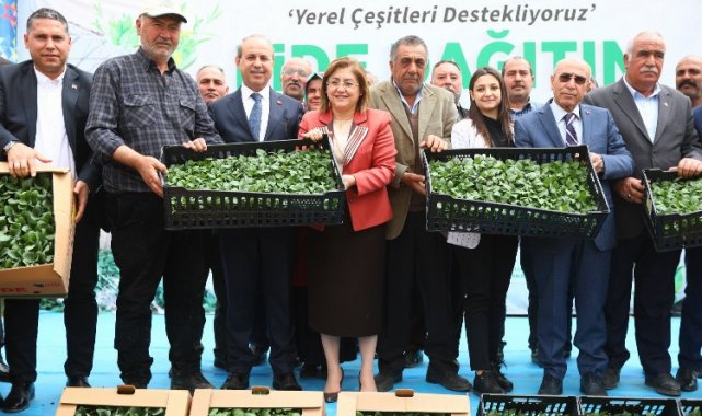 Gaziantep Büyükşehirden tarımsal üretime 2 milyon fide desteği