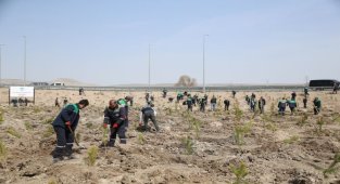 Kayseri Büyükşehir baharın gelmesiyle fidan dikimine başladı