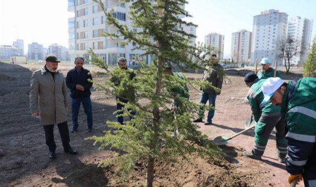 Kayseri Kocasinan ağaç dikim sezonunu açtı