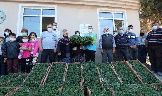 Kocaeli İzmit Belediyesi bu yıl da çiftçiye fide desteği verecek