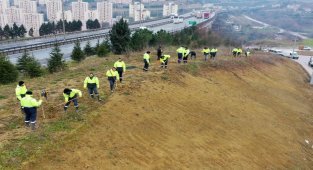 Kocaeli Şehir Hastanesi'nde yolunda çevre düzenlemesi