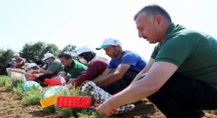Kocaeli'nde kooperatif ve birliklere hibe desteği başvuruları 22 Nisan'da sona eriyor