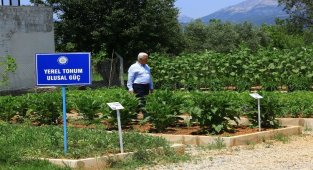Muğla Büyükşehir'den köy enstitüleri için anlamlı etkinlik