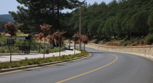 Muğla Ula'da ağaçlandırma çalışmaları tamamlandı