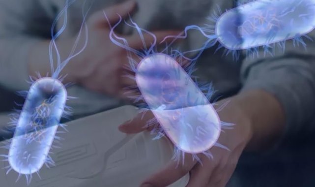 Salmonella endişe veriyor... Korunmak için ne yapmalı?
