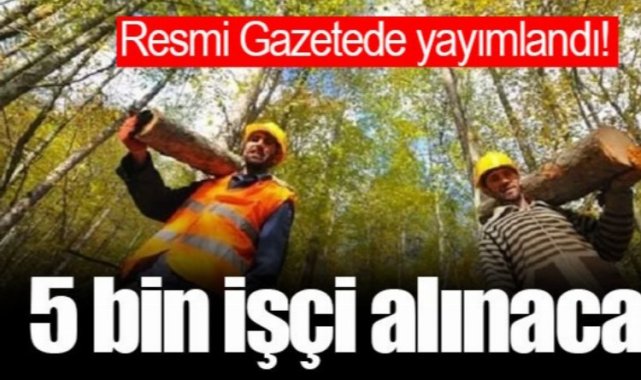 Türkiye geneli, 5 bin yangın işçisi alınacak!