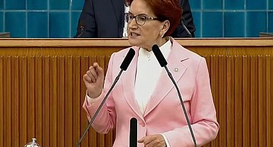 Akşener: İki ülke PKK'ya karşı gerekli tepkiyi göstermeli