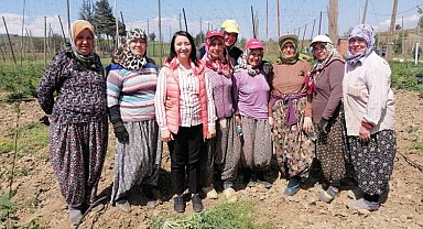 Bilecik Pazaryeri'nde yetişen şerbetçiotu üreticisi iplikleme mesaisinde