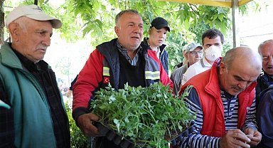 Bursa Gemlik'te Ata tohumları hayata dönüşüyor