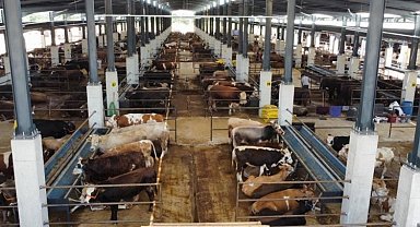 Bursa İnegöl Hayvan Pazarı kotra ihale tarihi belli oldu