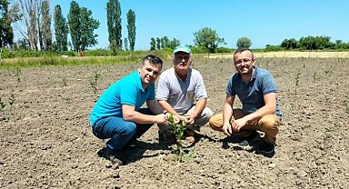 Bursa tıbbi aromatik üretim üssü olacak