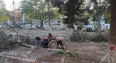 Bursa Yenişehir'de Millet Bahçesi'nde kontrollü katliam!