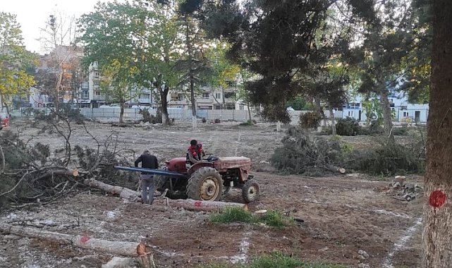 Bursa Yenişehir'de Millet Bahçesi'nde kontrollü katliam!
